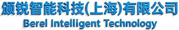 颁锐智能科技(上海)有限公司